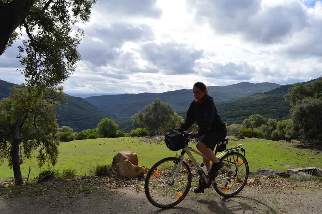 Séjour à la campagne Ahoraya El Colmenar