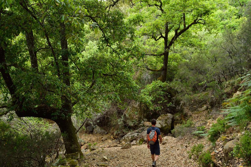 Séjour à la campagne Ahoraya El Colmenar